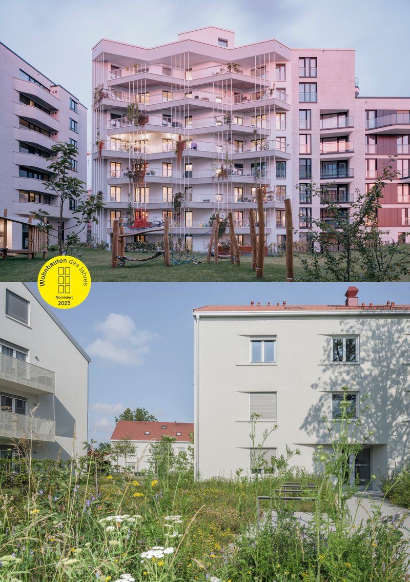Callwey_Nominierung_zillerplus_hoch_1_1