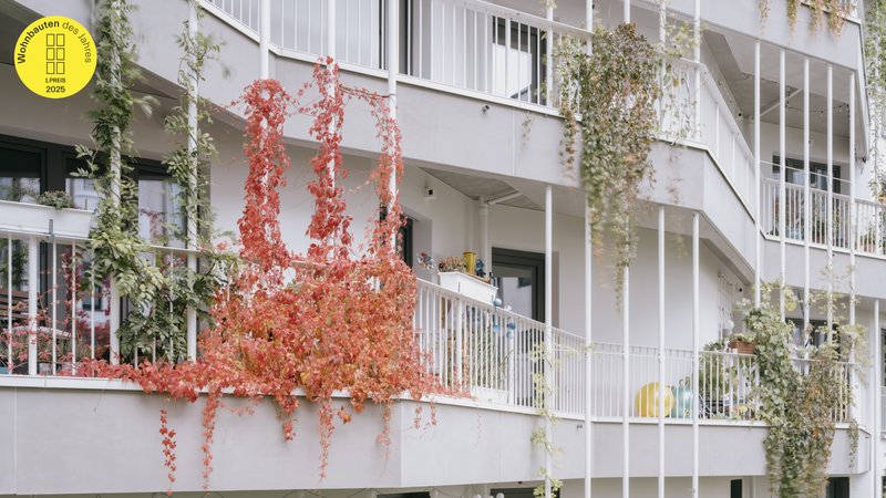 Heimatmole_HH_16_Florian-Holzherr_z+_badge_v1